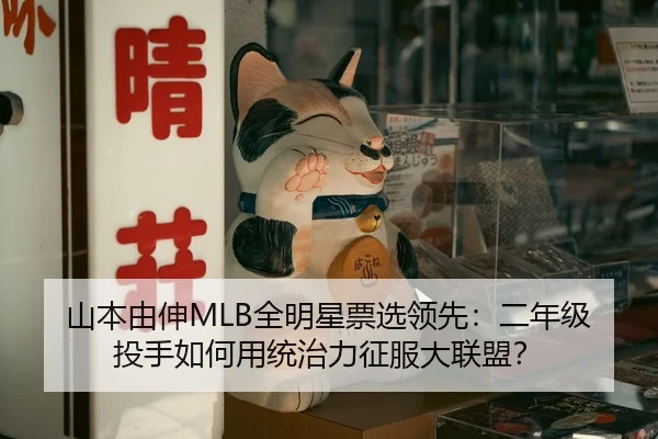 shan-ben-you-shen-quan-ming-xing-piao-xuan-ling-xian-er-nian-ji-tou-shou-ru-he-yong-tong-zhi-li-zheng-fu-da-lian-meng-2-224.jpg